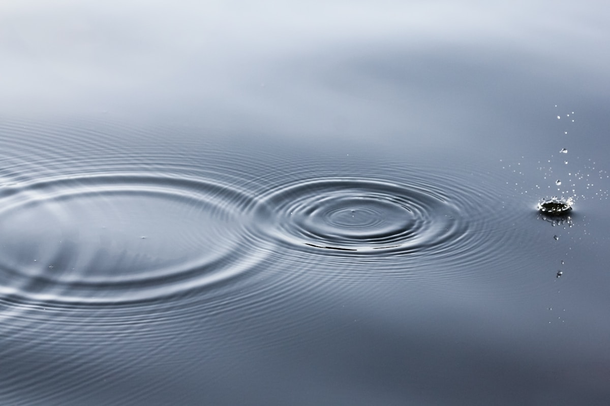 Environmental Law: Protecting Your Rights in Pollution Cases